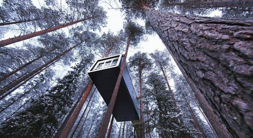 Tree Hotel Room