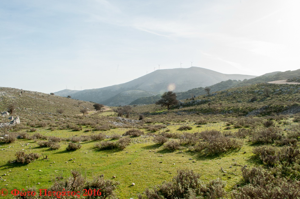 DSC 0036 Αντίγραφο Αντίγραφο