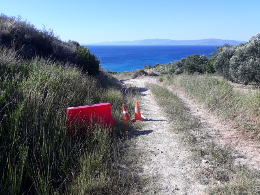 ΚΕΝΤΡΙΚΗ ΠΛΑΤΕΙΑ 1