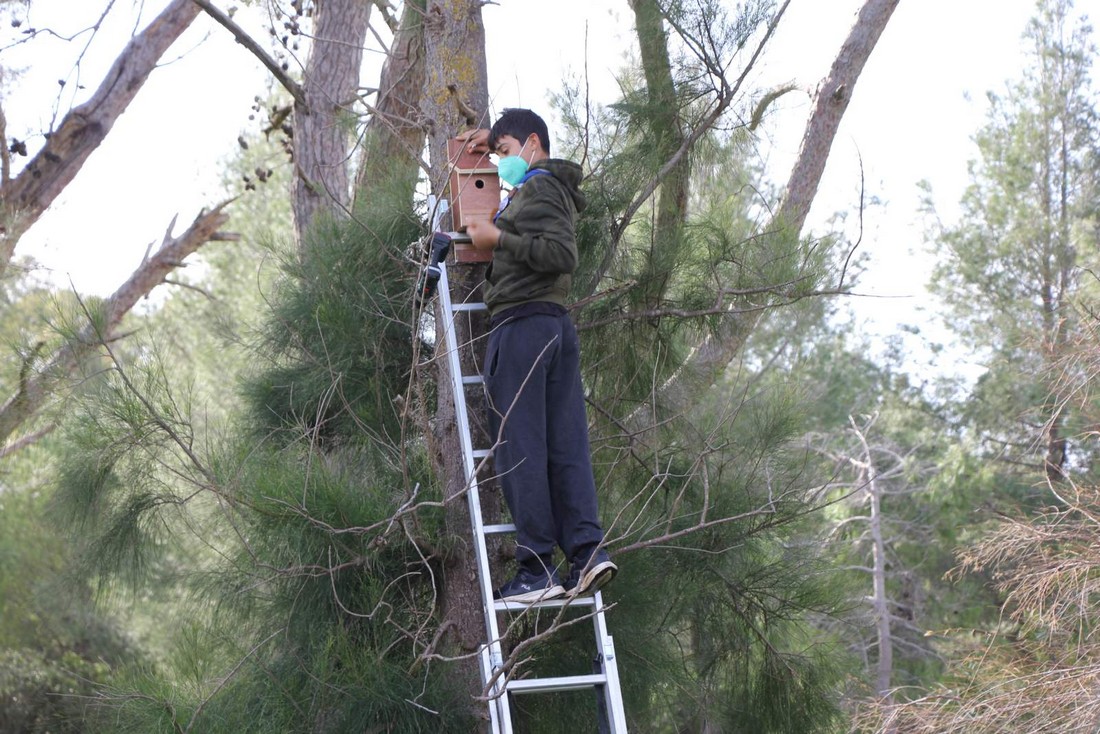 εικόνα Viber 2022 02 10 08 07 55 727