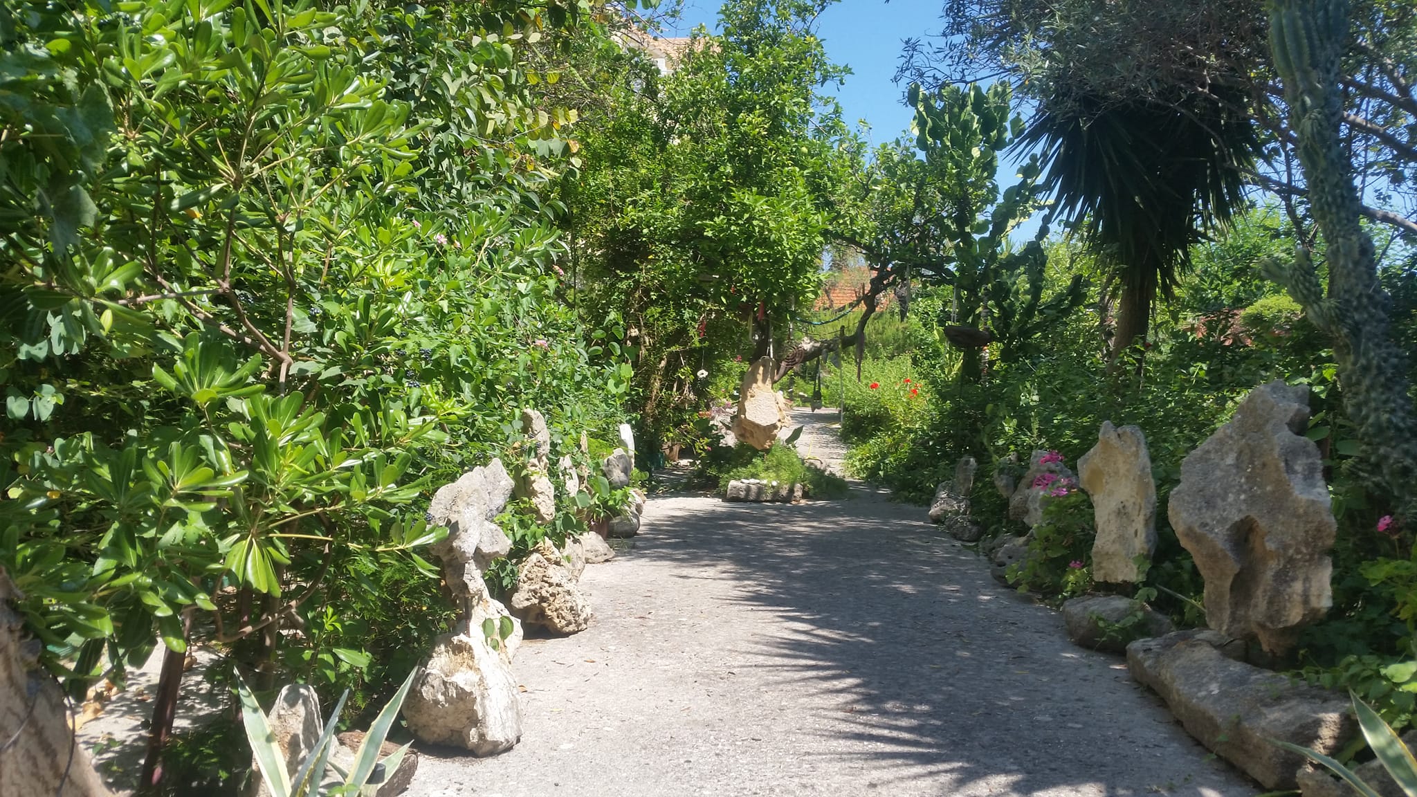 VILLA RODOPI ART GARDEN ARGOSTOLI