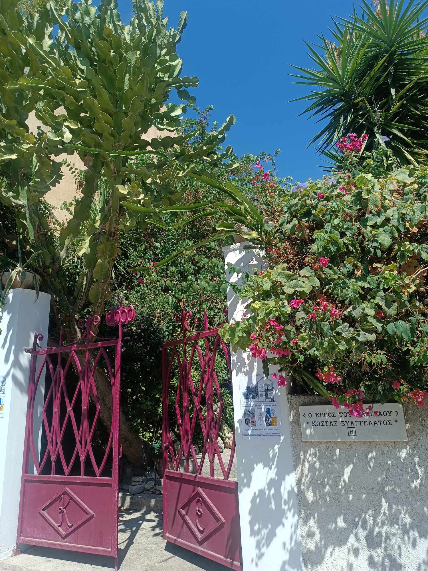 ΕΙΣΟΔΟΣ ΚΗΠΟΥ VILLA ΡΟΔΟΠΗ