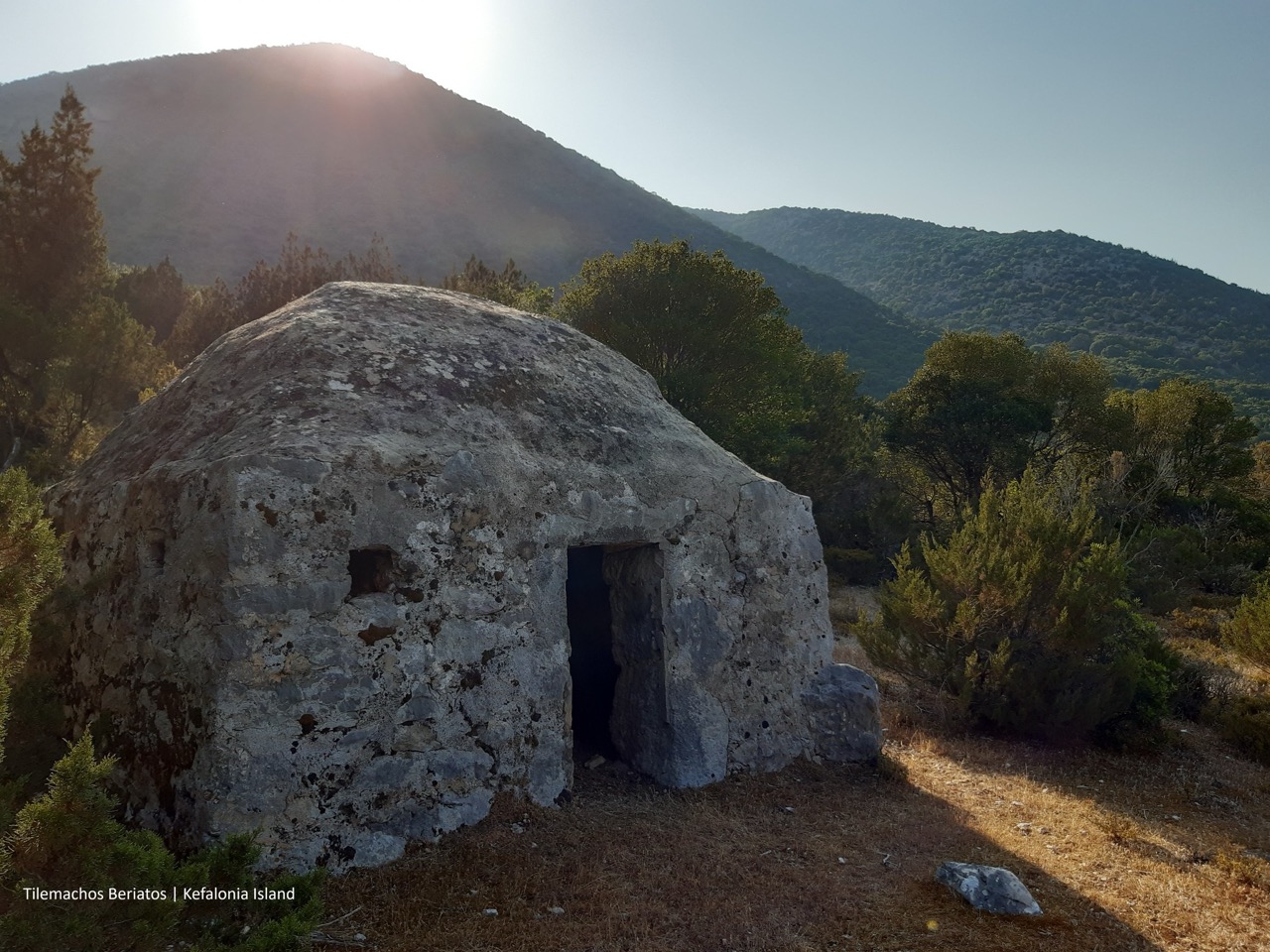 4 Κουτσουπιά μεγάλη