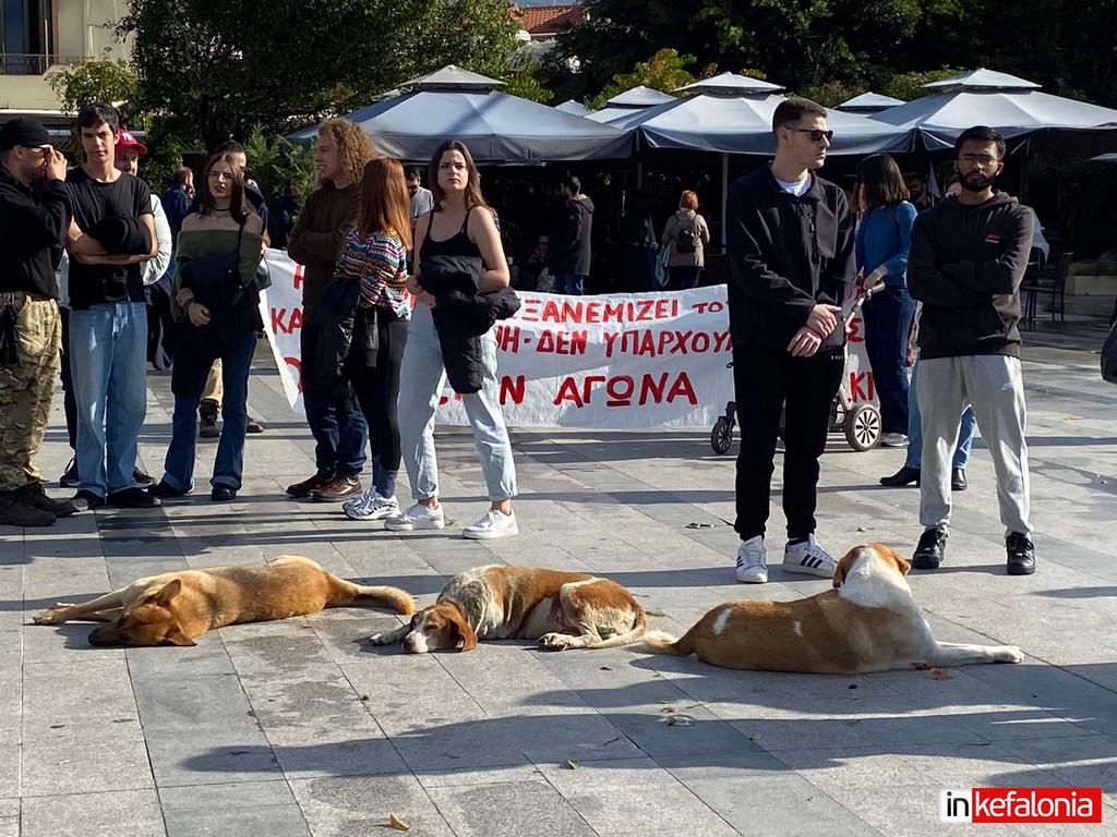 εικόνα Viber 2024 11 20 11 39 46 226