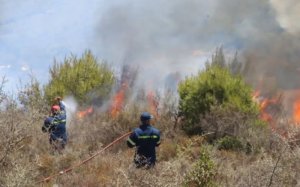 Κεφαλονιά: Πυρκαγιά στον Αγιο Γεώργιο