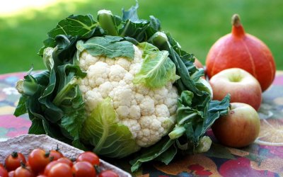 Καρκίνος: Γιατί μπορεί να νοσήσουν νέοι που τρώνε υγιεινά και δεν καπνίζουν