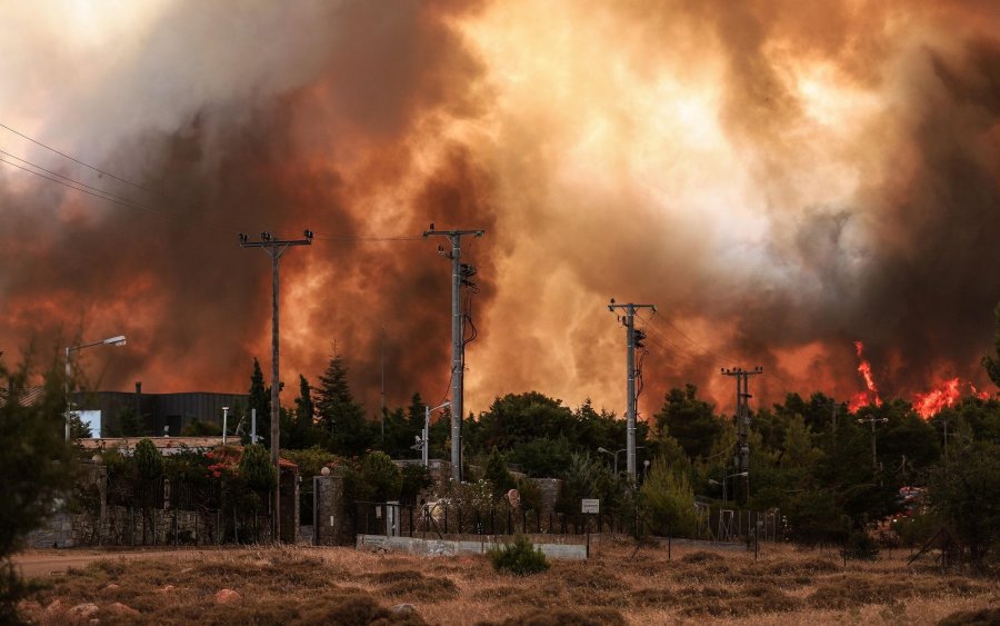 Δήμος Ληξουρίου: Παρατείνεται έως και τις 20/8 η συγκέντρωση ειδών πρώτης ανάγκης για τους πυρόπληκτους