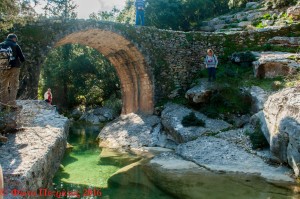 Η Κυριακάτικη διαδρομή της Ορειβατικής Λέσχης (εικόνες)