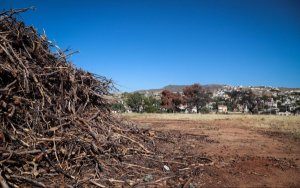 Τέλος χρόνου για τα ακαθάριστα οικόπεδα - Άνοιξε τώρα η πλατφόρμα στο gov.gr