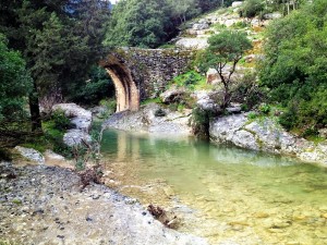 Ορειβατικός Σύλλογος : Απολαυστική πεζοπορία στους Επτά Νερόμυλους