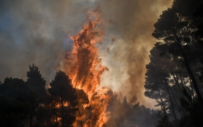 Κέρκυρα: 39χρονη ομολόγησε εμπρησμούς