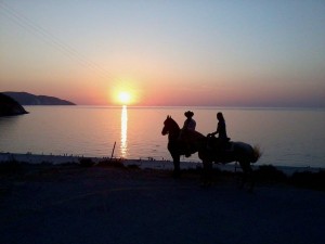 Βόλτα στον Μύρτο...με τα άλογα !