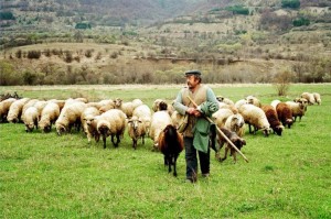 Ε.Α.Σ. : Ολοκλήρωση ενημέρωσης των ντόπιων Μητρώων Αιγοπροβάτων