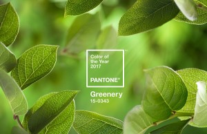 Το χρώμα της χρονιάς 2017 από την Pantone!