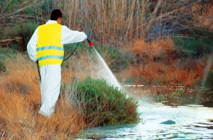 Πρόγραμμα ψεκασμών εντομοκτονίας