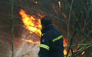 Υπό μερικό έλεγχο η πυρκαγιά στα Χαβριάτα - Ηχησε το 112 της Πολιτικής Προστασίας