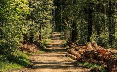 ΑΝΑΣΑ:  Επιτυχής και με μεγάλη συμμετοχή η Ημερίδα &quot;Δασικοί Χάρτες και Προβλήματα στα Νησιά του Ιονίου&quot;