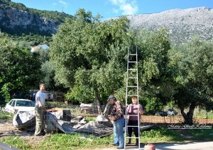 Η εποχή τού λιομαζώματος (εικόνες)