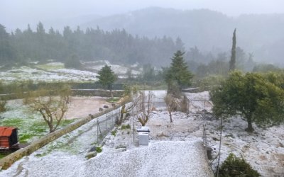 Ληξούρι: &quot;Άσπρισε&quot; το Ρίφι από το χαλάζι