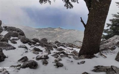 Ο υπέροχος Αίνος που δεν σταματά να μας εκπλήσσει!