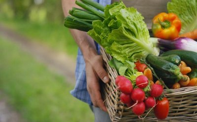 Ε.Α.Σ.: Αλλάζει η διαδικασία ελέγχων στις ενταγμένες Βιολογικές εκτάσεις και ζώα