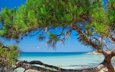 Η γαλλική Vogue αποθεώνει τις ελληνικές παραλίες -Ποια ξεχωρίζει στην Κεφαλονιά