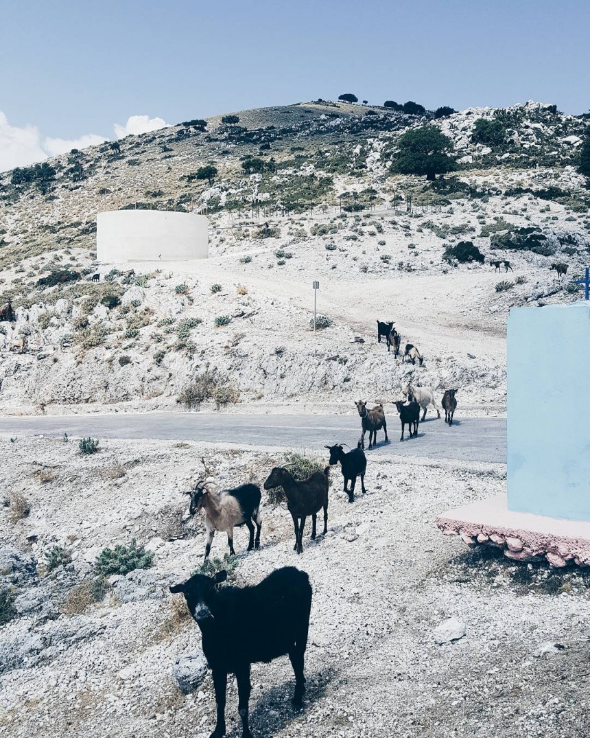 Οι δικές σας Κεφαλονίτικες φωτογραφίες στο Instagram - #inkefaloniagr