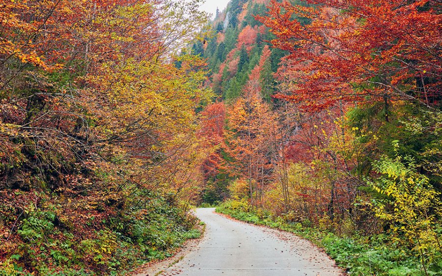 Νέες ρυθμίσεις για περιοχές Natura