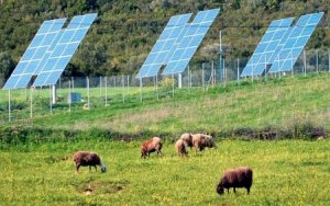 Παναγής Καππάτος: Ως αγροτικές εκμεταλλεύσεις θα θεωρούνται οι ΑΠΕ που είναι μικρότερες από 500 KW