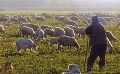 Συζήτηση με τον Παναγή Σωτήρα για τα προβλήματα κτηνοτρόφων και αλιέων της Κεφαλονιάς (COSMOS 96,5)