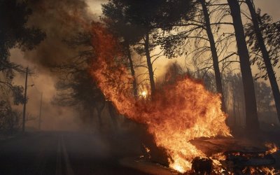 Πυρκαγιές: Εξαφανίζεται το πράσινο της Αττικής - Κάηκαν 600.000 στρέμματα σε 3 χρόνια