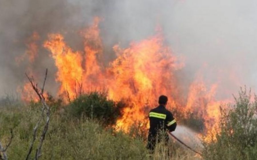 Πυροσβεστική Υπηρεσία Κεφαλονιάς: Αρκετές οι δασικές/αγροτοδασικές πυρκαγιές από καύση υπολειμμάτων καλλιεργειών - Μεγάλη προσοχή και τήρηση μέτρων