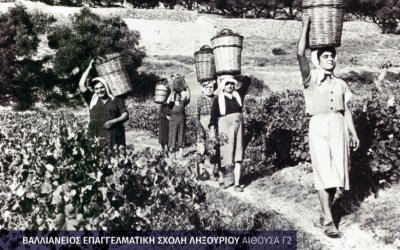 Εκδήλωση: «Τον καιρό της σταφίδας: Παρελθόν, παρόν και μέλλον της μαύρης σταφίδας στο Ληξούρι»