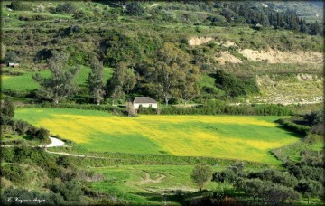 Ανοιξιάτικη βόλτα εκεί ψηλά στην Ανωγή προς την Αγία Θέκλη (εικόνες)