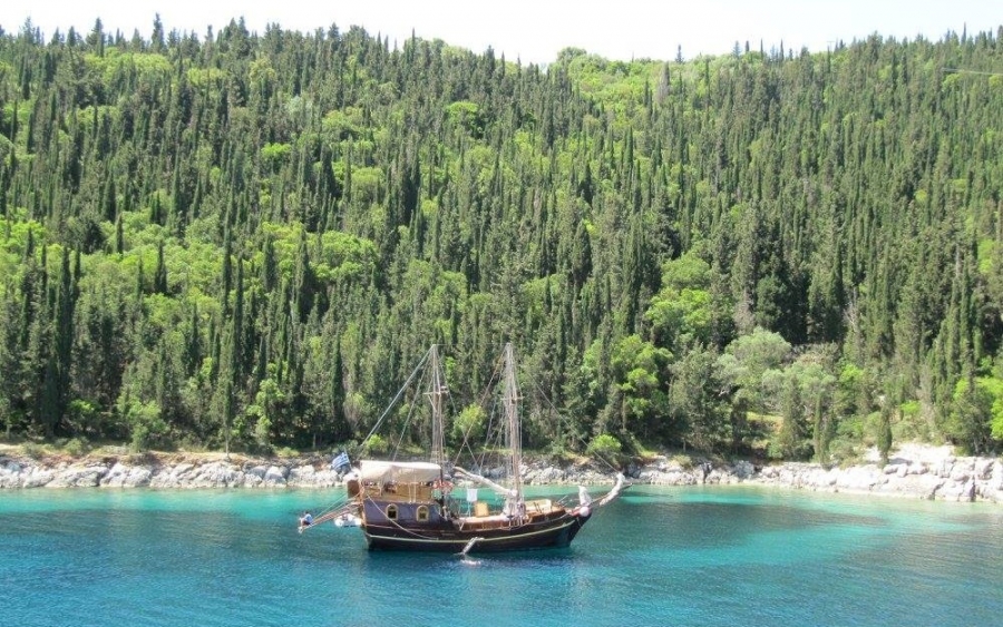 Στο Φώκι... κάτι από καλοκαίρι μέσα στον χειμώνα (εικόνες)