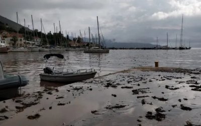 Λαϊκή Συσπείρωση: Επερώτηση σχετικά με την Πολιτική Προστασία