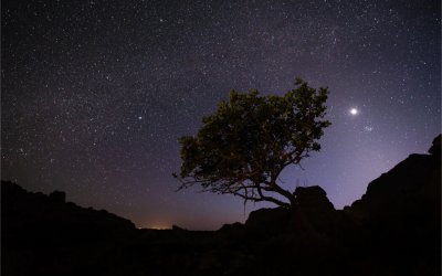 Διεθνής Αναγνώριση του Ιονίου Πανεπιστημίου σε Έρευνα που αφορά τον Τουρισμό