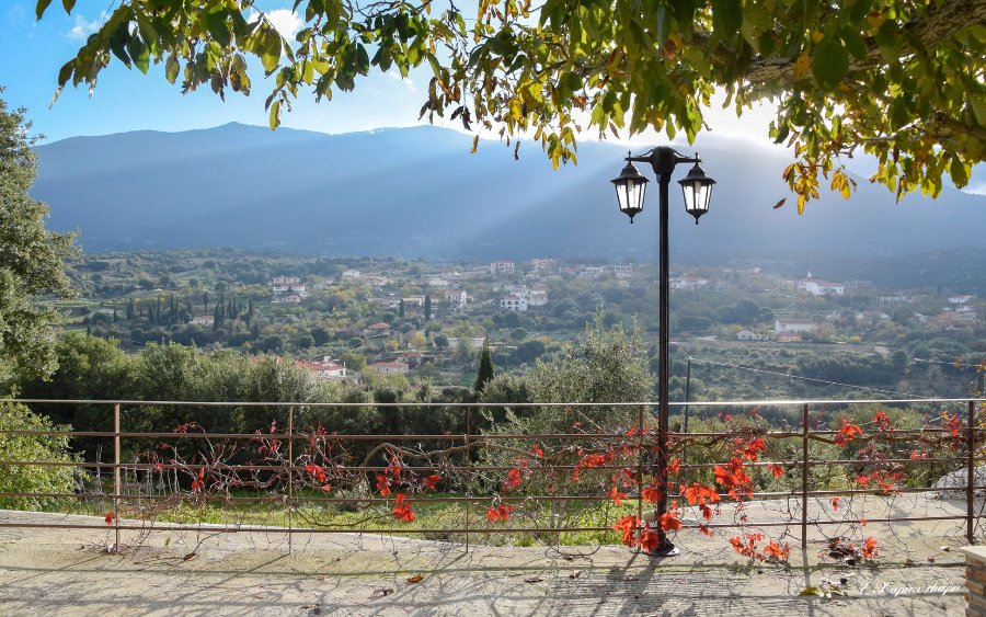 Φιλικό Παλαιμάχων και Γιορτή Αναμνήσεων στο Πυργί: Μια Βραδιά με Ποδόσφαιρο, Κρασί και Χορό