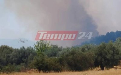 Φωτιά στην Αχαΐα: Εκτός ελέγχου η πυρκαγιά στην Καλλιθέα