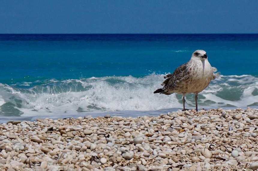 Οι δικές σας Κεφαλονίτικες φωτογραφίες στο Instagram - #inkefaloniagr