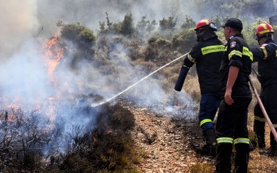 Φωτιά στην περιοχή Πλατιές Στράτες στην Παλική