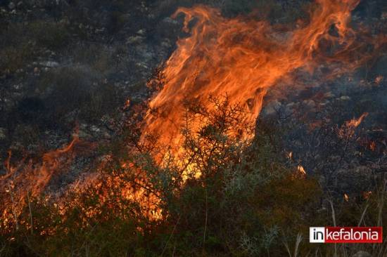 Σε εξέλιξη  φωτιά στη θέση Λαγκαδάκια Παλικής