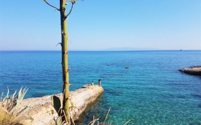 Βουτιά στην παραλία του Αγίου Θωμά (εικόνες)