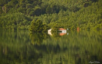 Αχαΐα - Το εκκλησάκι της λίμνης Αστερίου πνίγεται από το… πράσινο! (εικόνες)