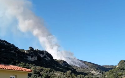 Κεφαλονιά: Συνελήφθη ημεδαπός για την φωτιά στην Σκάλα