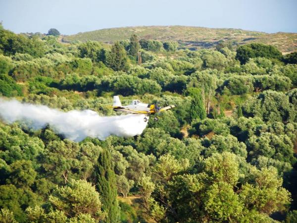 Έσβησε έγκαιρα η φωτιά στη Λειβαθώ…