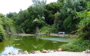 Απόψε η εκδήλωση &#039;&#039;Αρχαία Επιστήμη -  Μύθοι και Πραγματικότητες&#039;&#039; στον Βοτανικό Κήπο Κεφαλονιάς