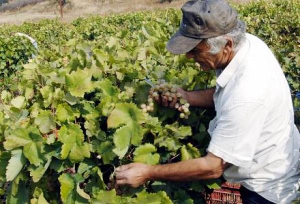 Επίκαιρη  Αγροτική  Προειδοποίηση