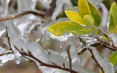 Κεφαλονιά: Καταγράφηκε νέο ρεκόρ ελάχιστης θερμοκρασίας για το Μάρτιο