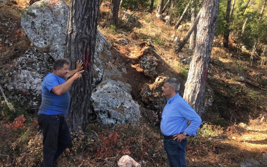 Καππάτος: Ολοκληρώθηκαν για πρώτη φορά εργασίες προληπτικού καθαρισμού δασών στην Κεφαλονιά (εικόνες)